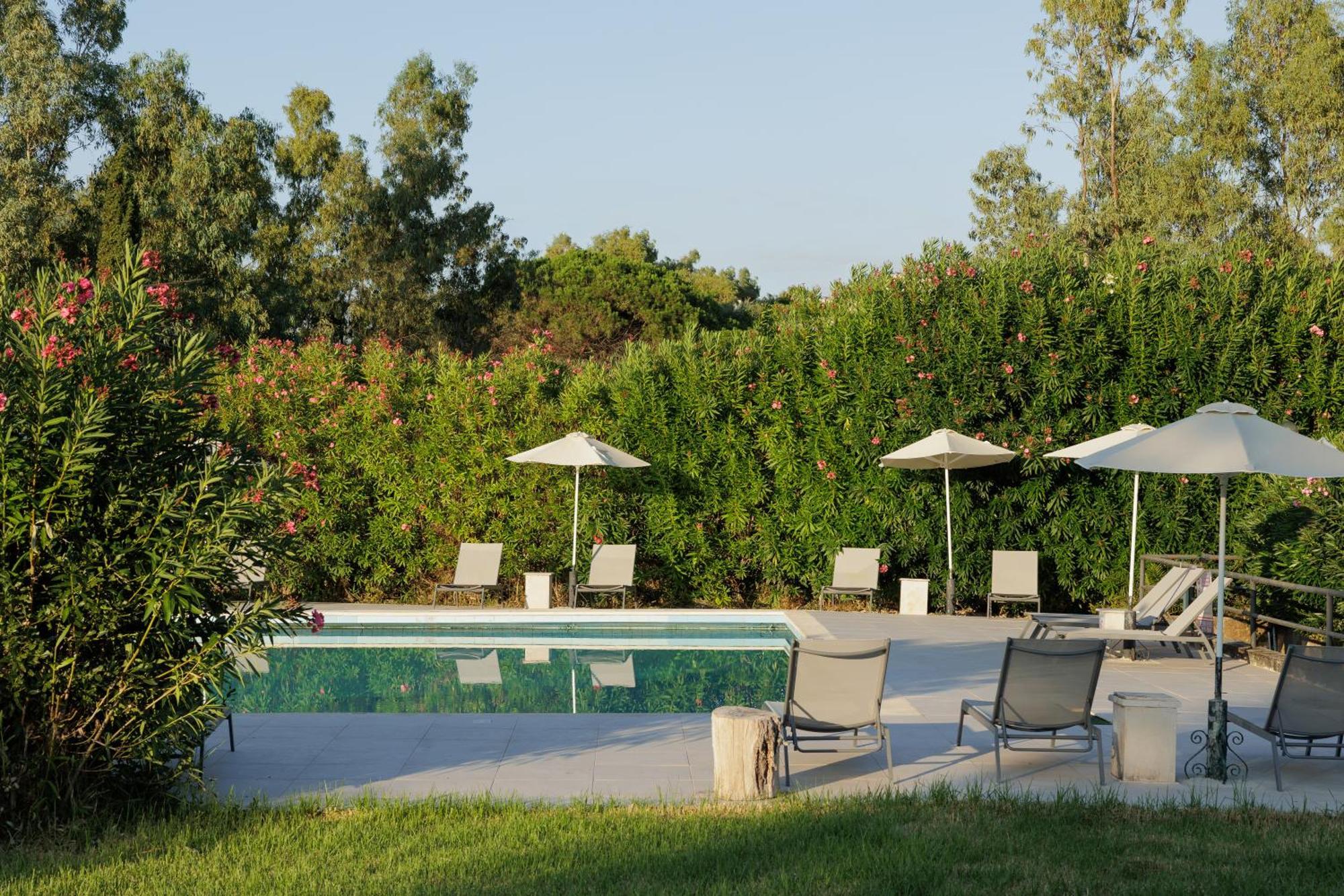Nafsika Hotel - Adults Only Dassia  Exterior foto